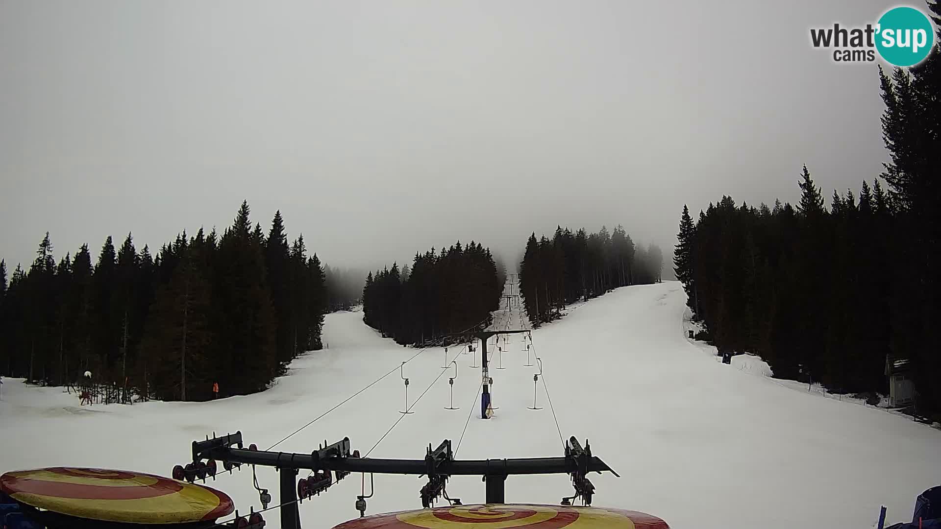 Estación de esquí Rogla Webcam Ostruščica pistas 1 y 2