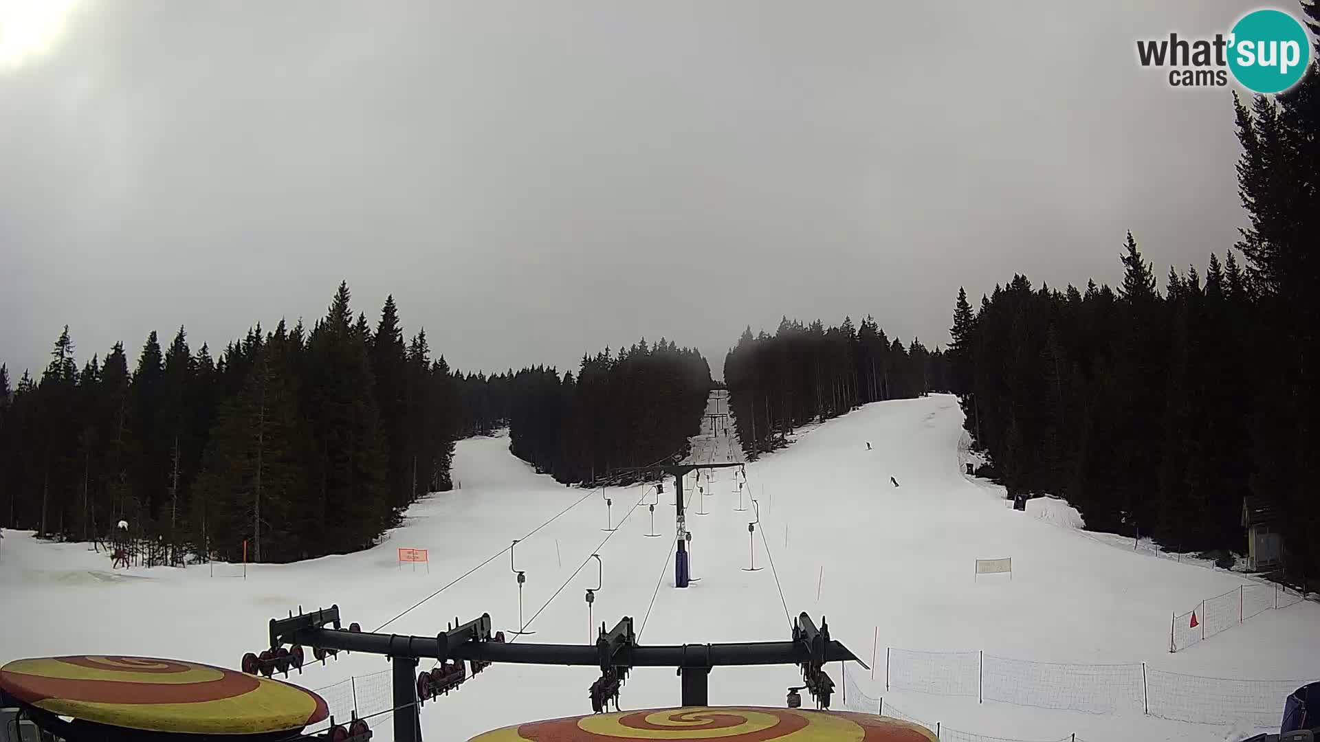 Comprensorio sciistico Rogla Webcam live Ostruščica piste 1 e 2