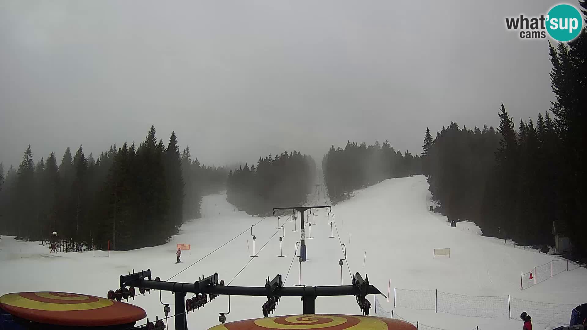 Webcam Live Rogla ski resort – Ostruščica