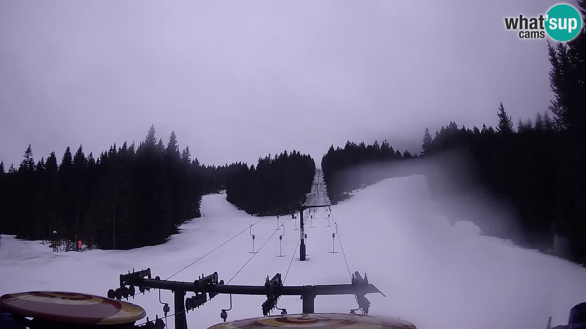 Estación de esquí Rogla Webcam Ostruščica pistas 1 y 2