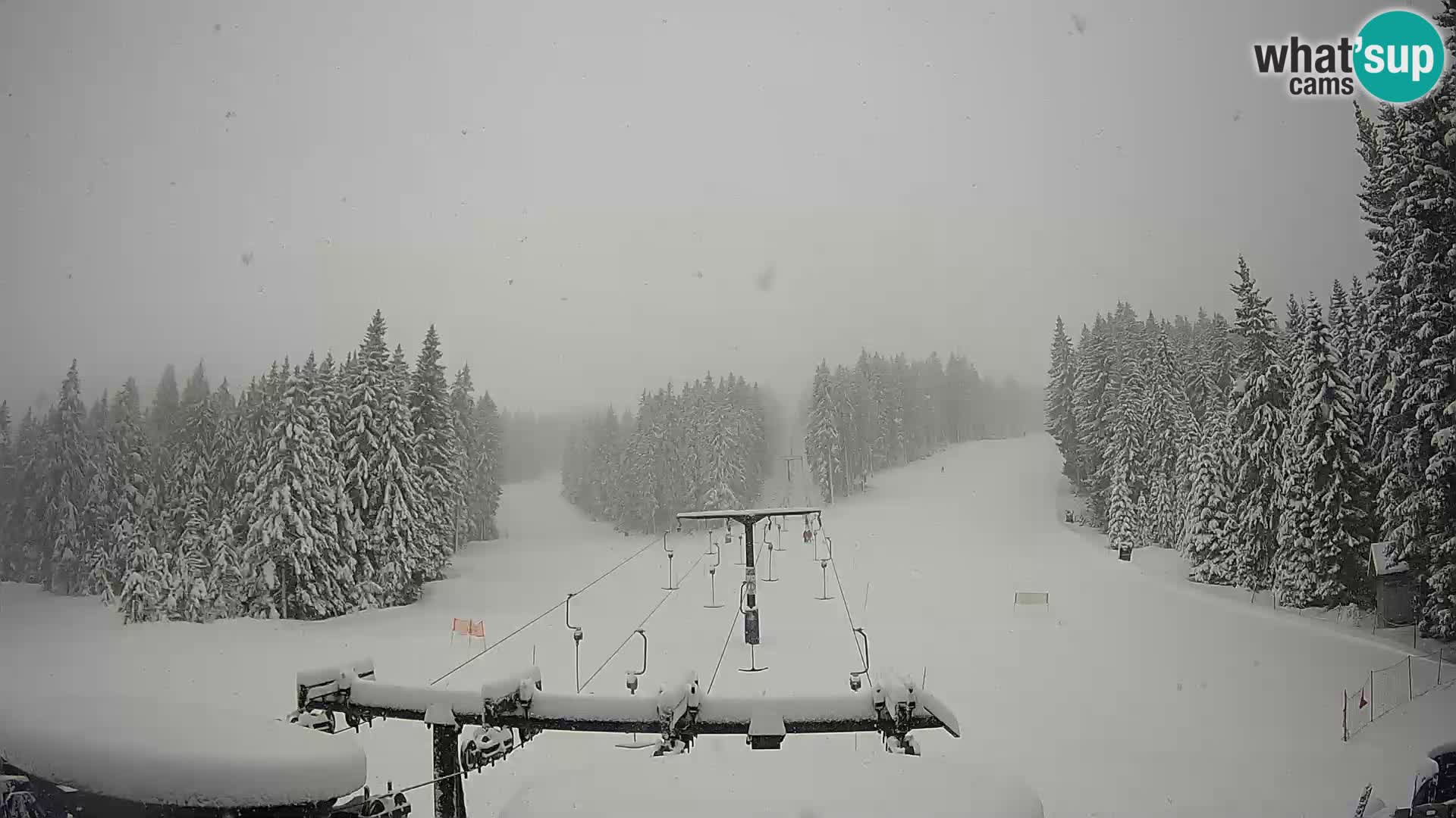 Webcam Live Rogla ski resort – Ostruščica