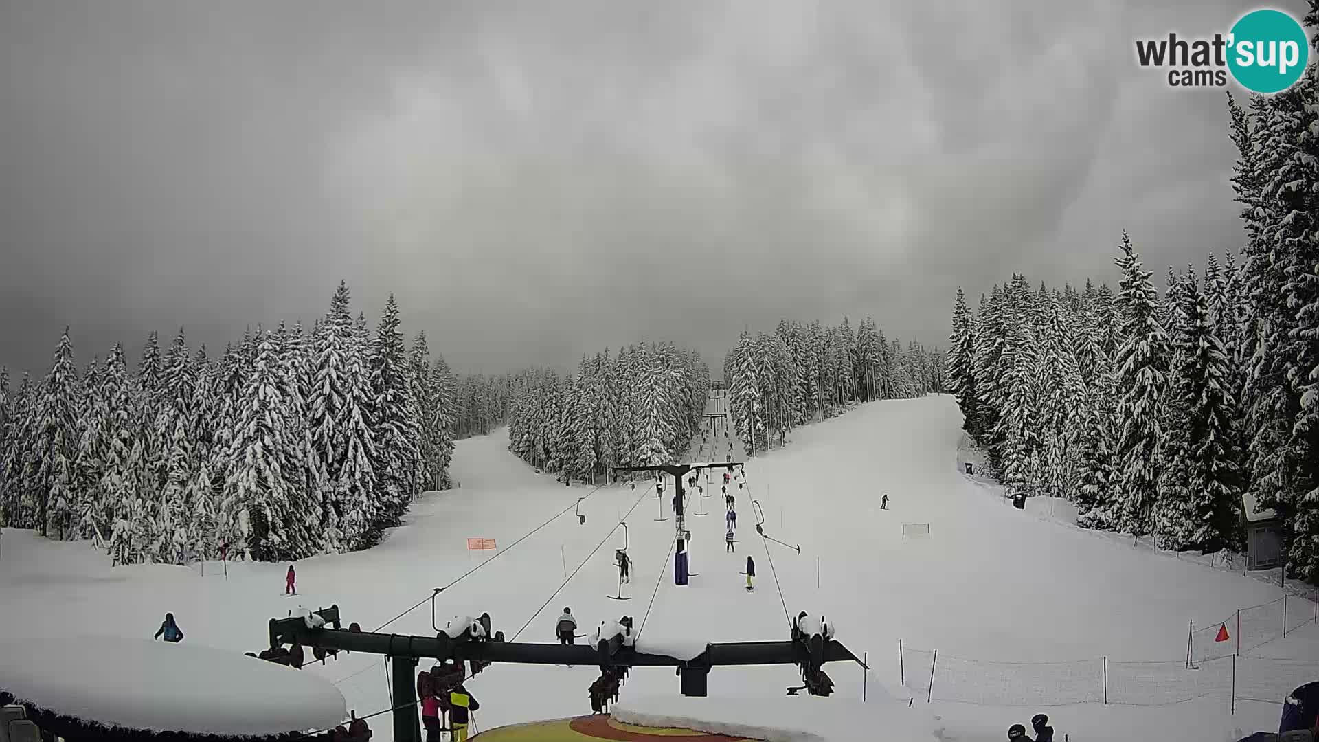 Station de ski Rogla Webcam Ostruščica pistes 1 et 2