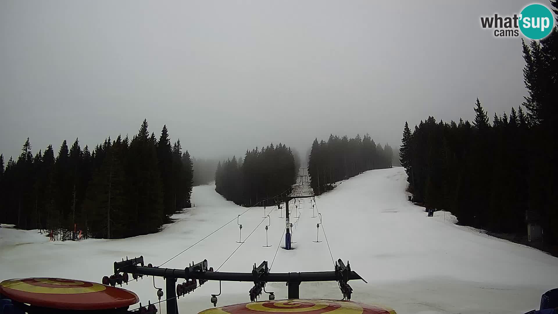 Webcam Live Rogla ski resort – Ostruščica