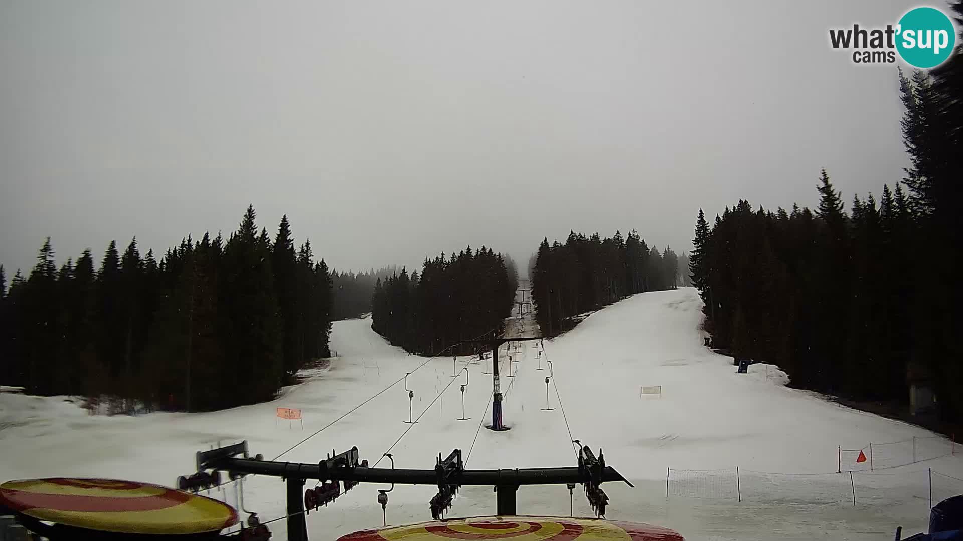 Comprensorio sciistico Rogla Webcam live Ostruščica piste 1 e 2