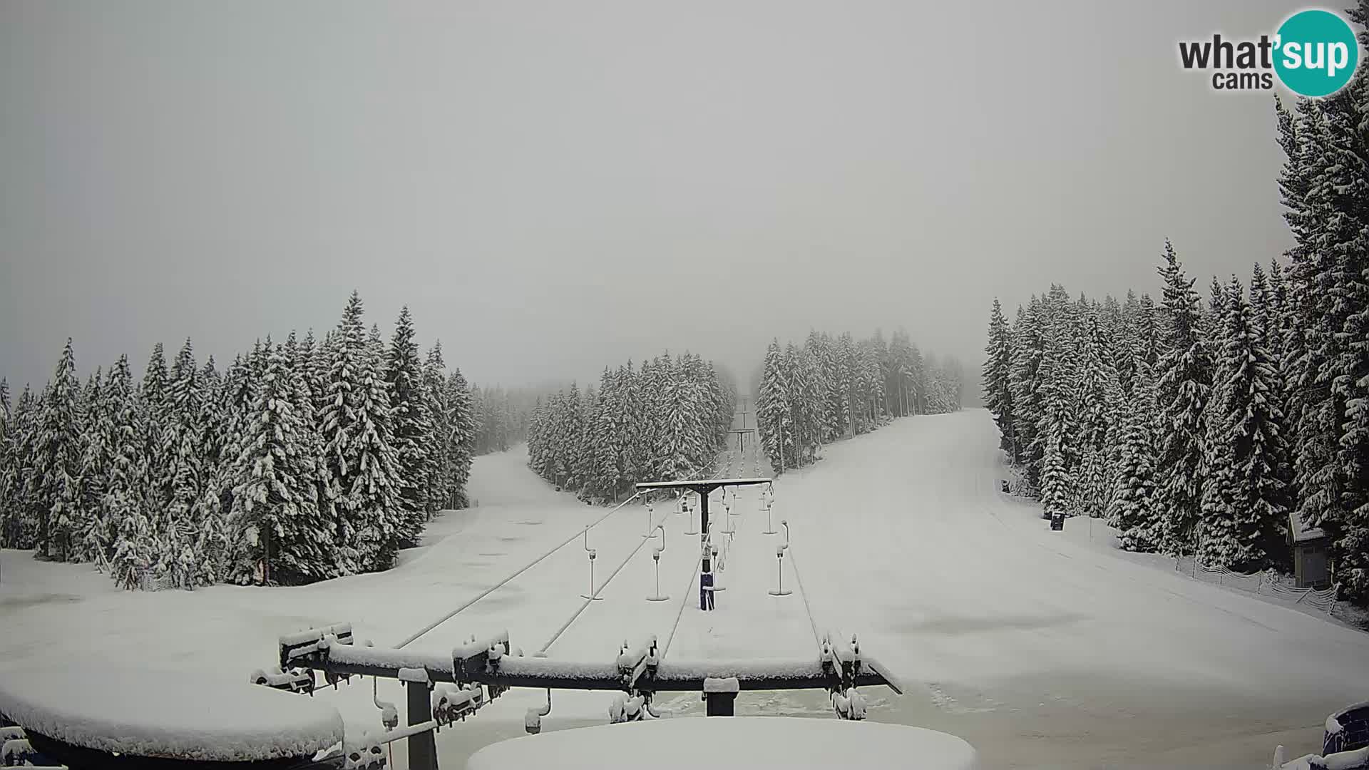 Skigebiet Rogla Webcam Ostruščica Piste 1 und 2