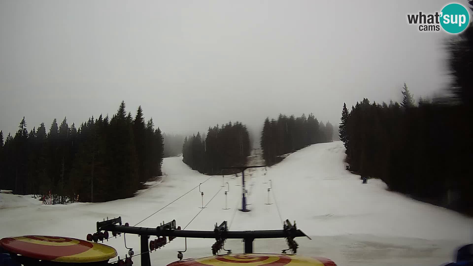 Webcam Live Rogla ski resort – Ostruščica