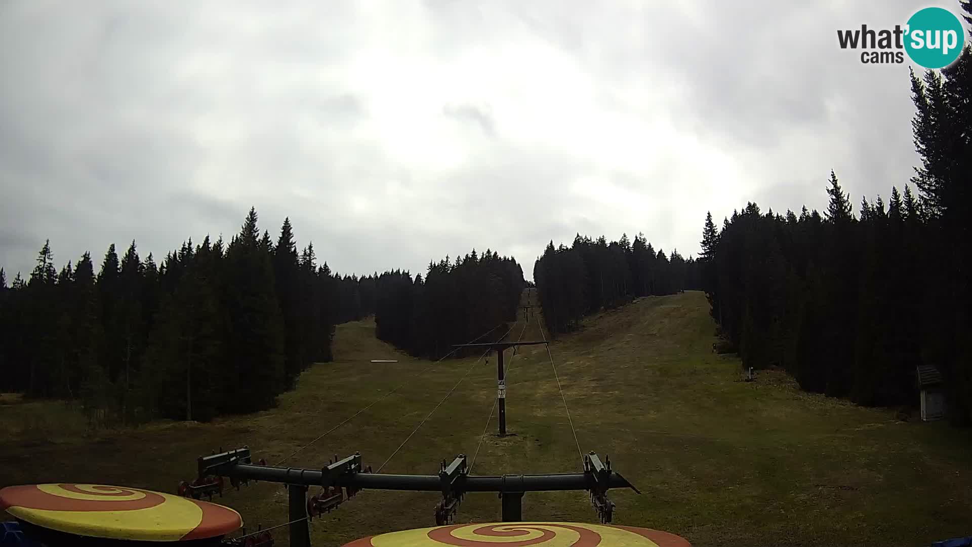 Comprensorio sciistico Rogla Webcam live Ostruščica piste 1 e 2