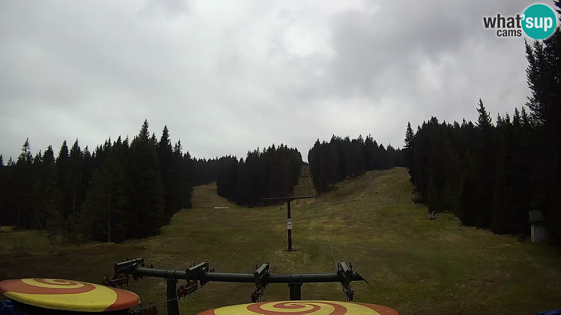 Webcam Live Rogla ski resort – Ostruščica