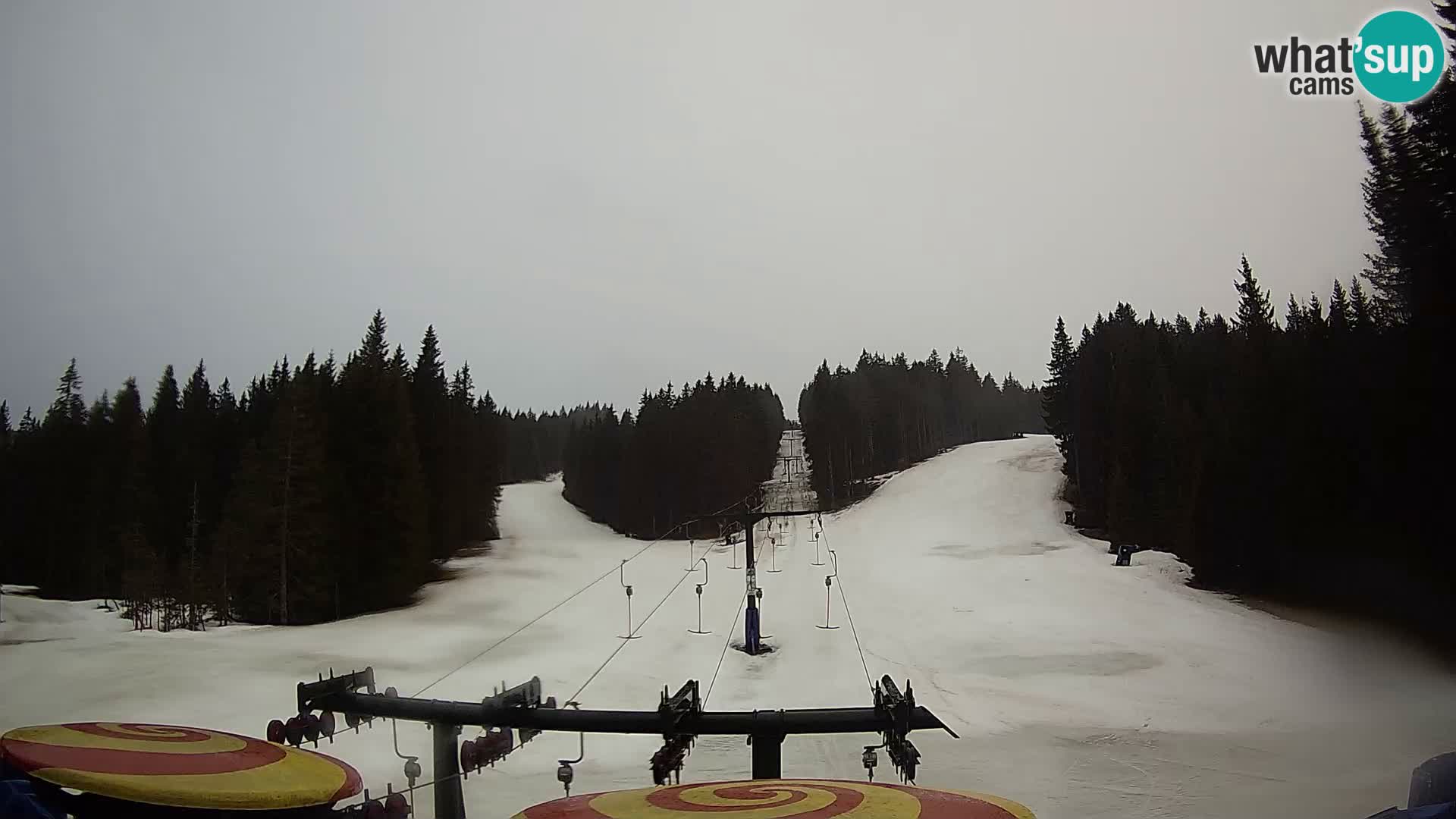 Station de ski Rogla Webcam Ostruščica pistes 1 et 2