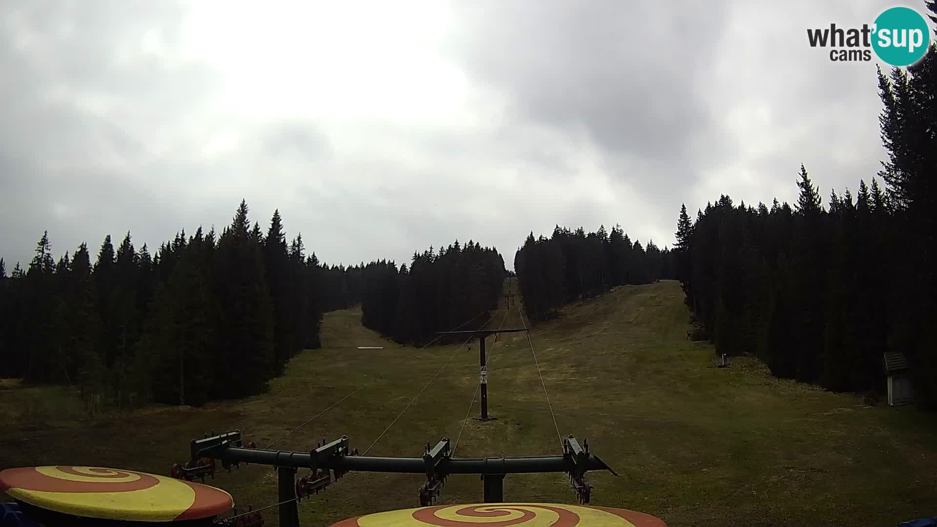 Webcam Live Rogla ski resort – Ostruščica