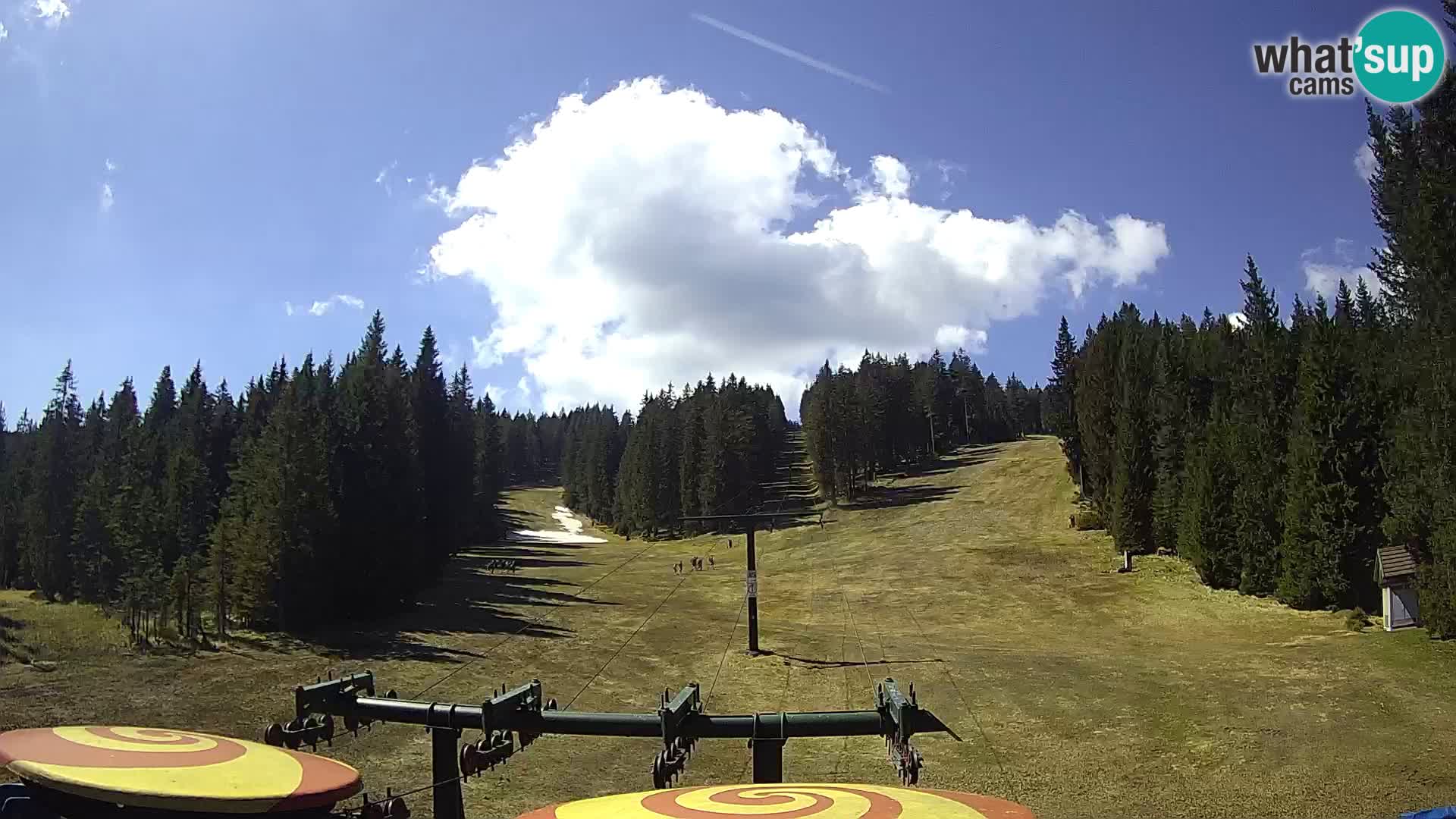 Comprensorio sciistico Rogla Webcam live Ostruščica piste 1 e 2