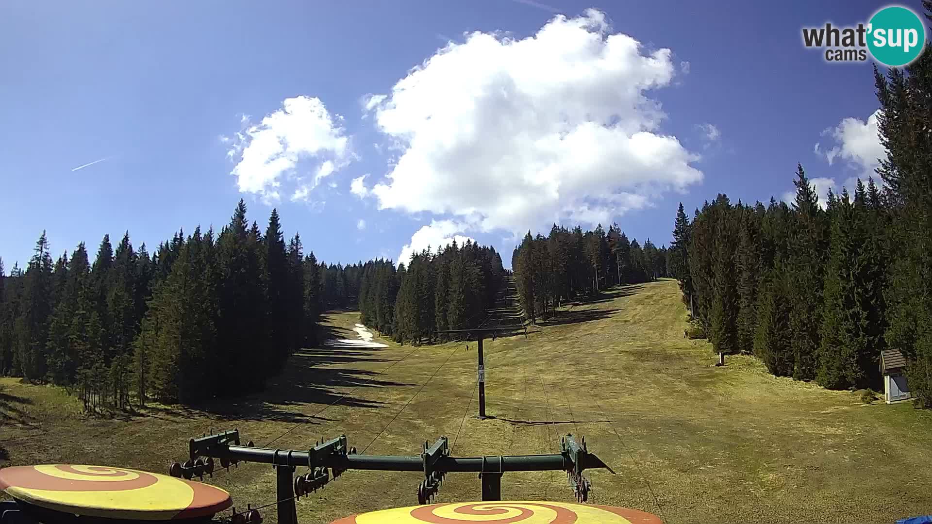 Webcam Live Rogla ski resort – Ostruščica