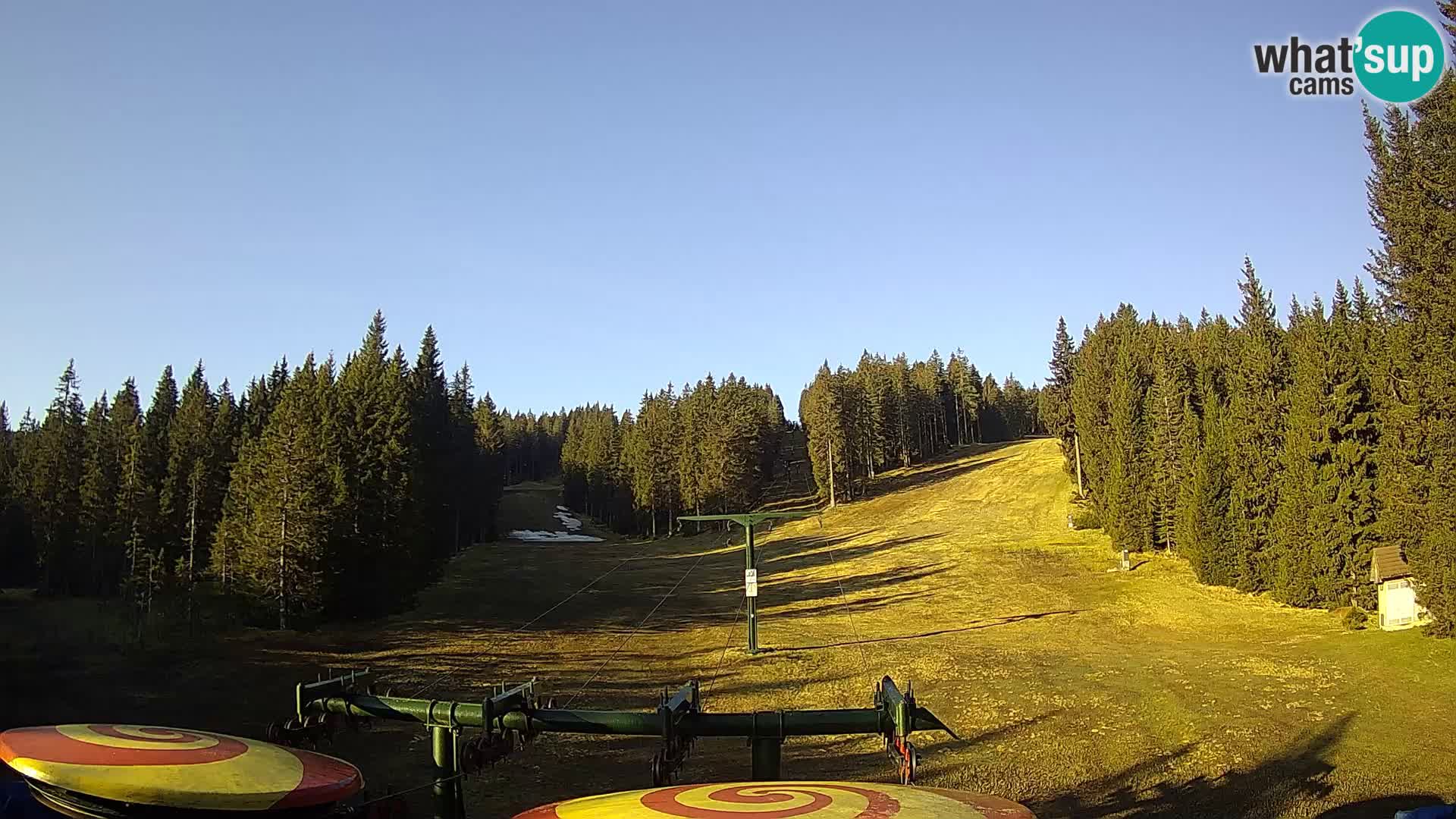 Comprensorio sciistico Rogla Webcam live Ostruščica piste 1 e 2