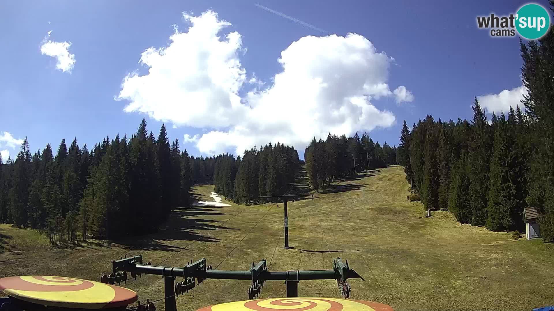 Webcam Live Rogla ski resort – Ostruščica
