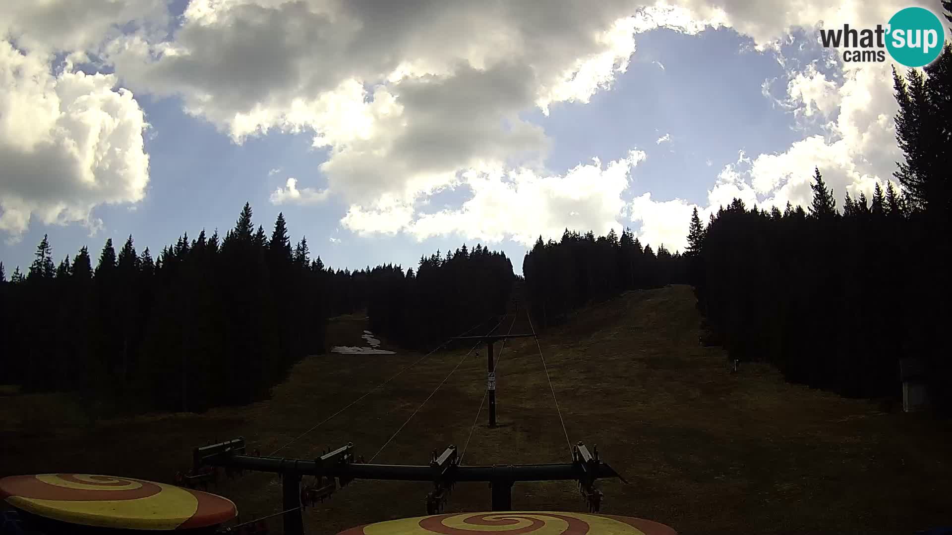 Station de ski Rogla Webcam Ostruščica pistes 1 et 2
