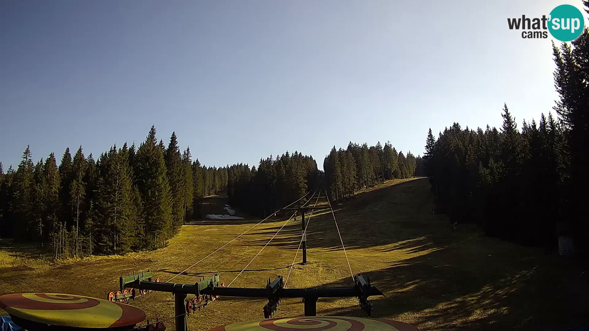 Station de ski Rogla Webcam Ostruščica pistes 1 et 2