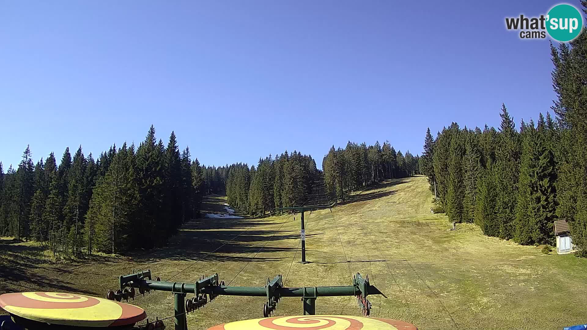 Estación de esquí Rogla Webcam Ostruščica pistas 1 y 2