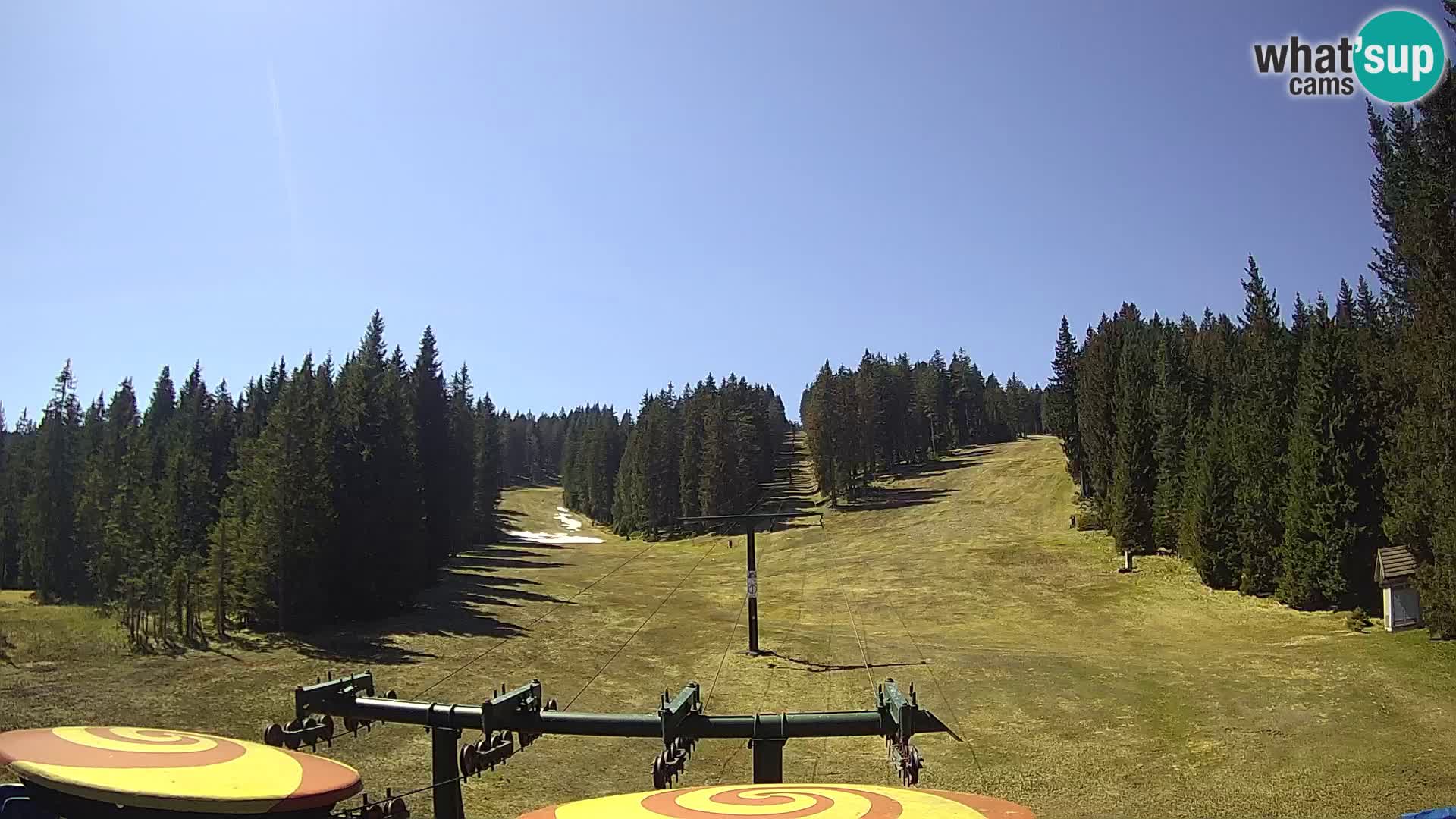Webcam Live Rogla ski resort – Ostruščica