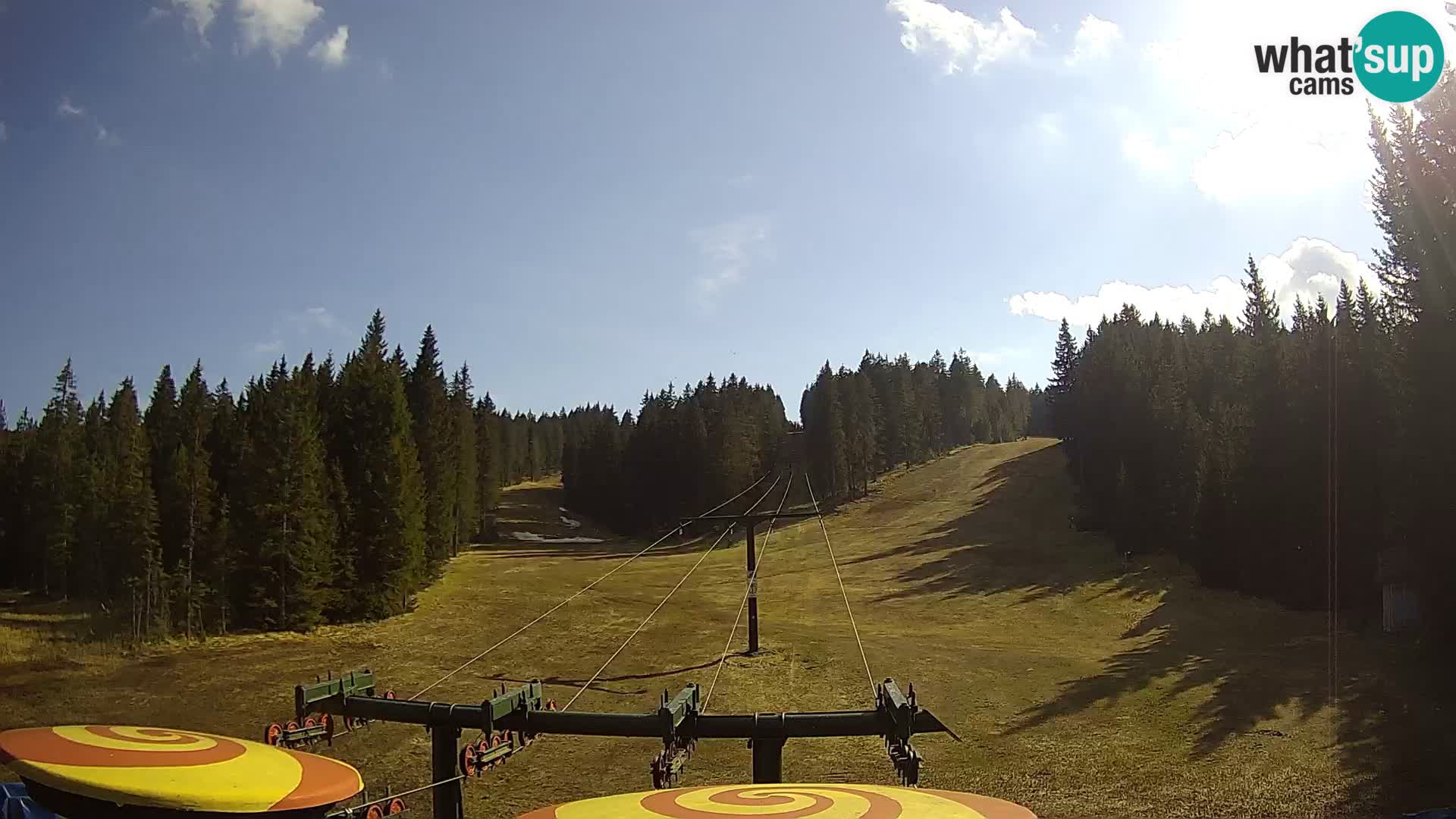 Comprensorio sciistico Rogla Webcam live Ostruščica piste 1 e 2