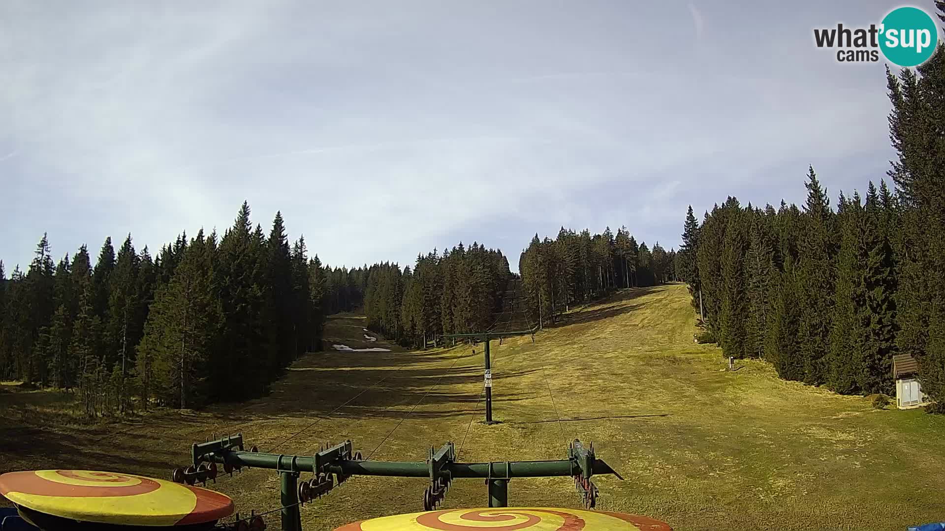 Webcam Live Rogla ski resort – Ostruščica