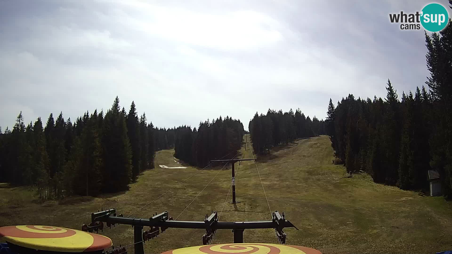 Comprensorio sciistico Rogla Webcam live Ostruščica piste 1 e 2