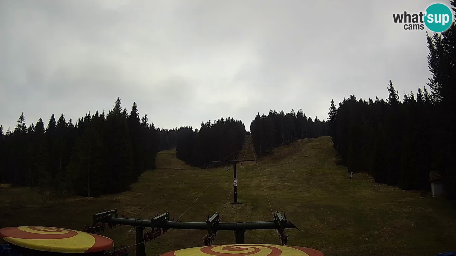 Webcam Live Rogla ski resort – Ostruščica