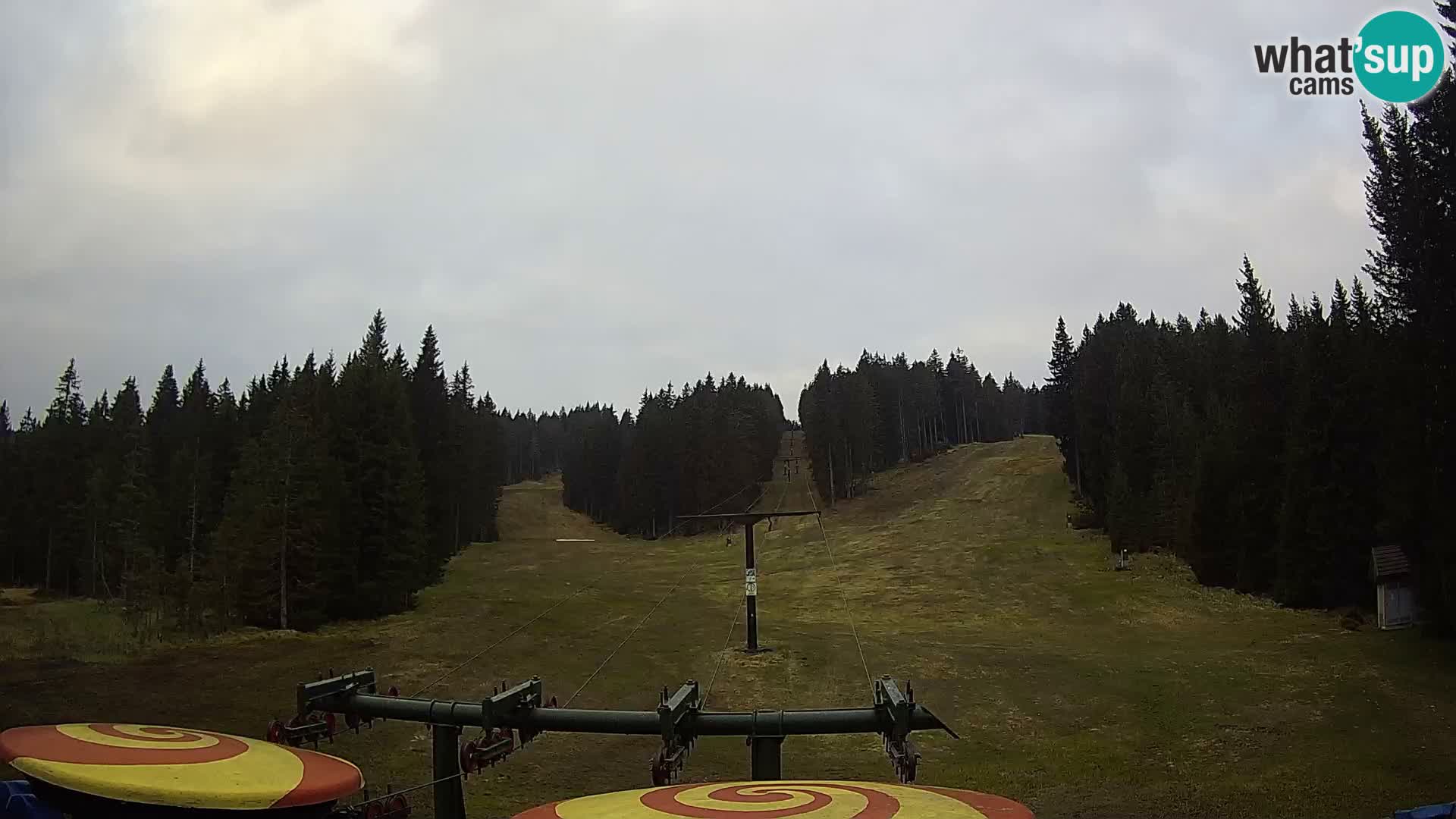Comprensorio sciistico Rogla Webcam live Ostruščica piste 1 e 2
