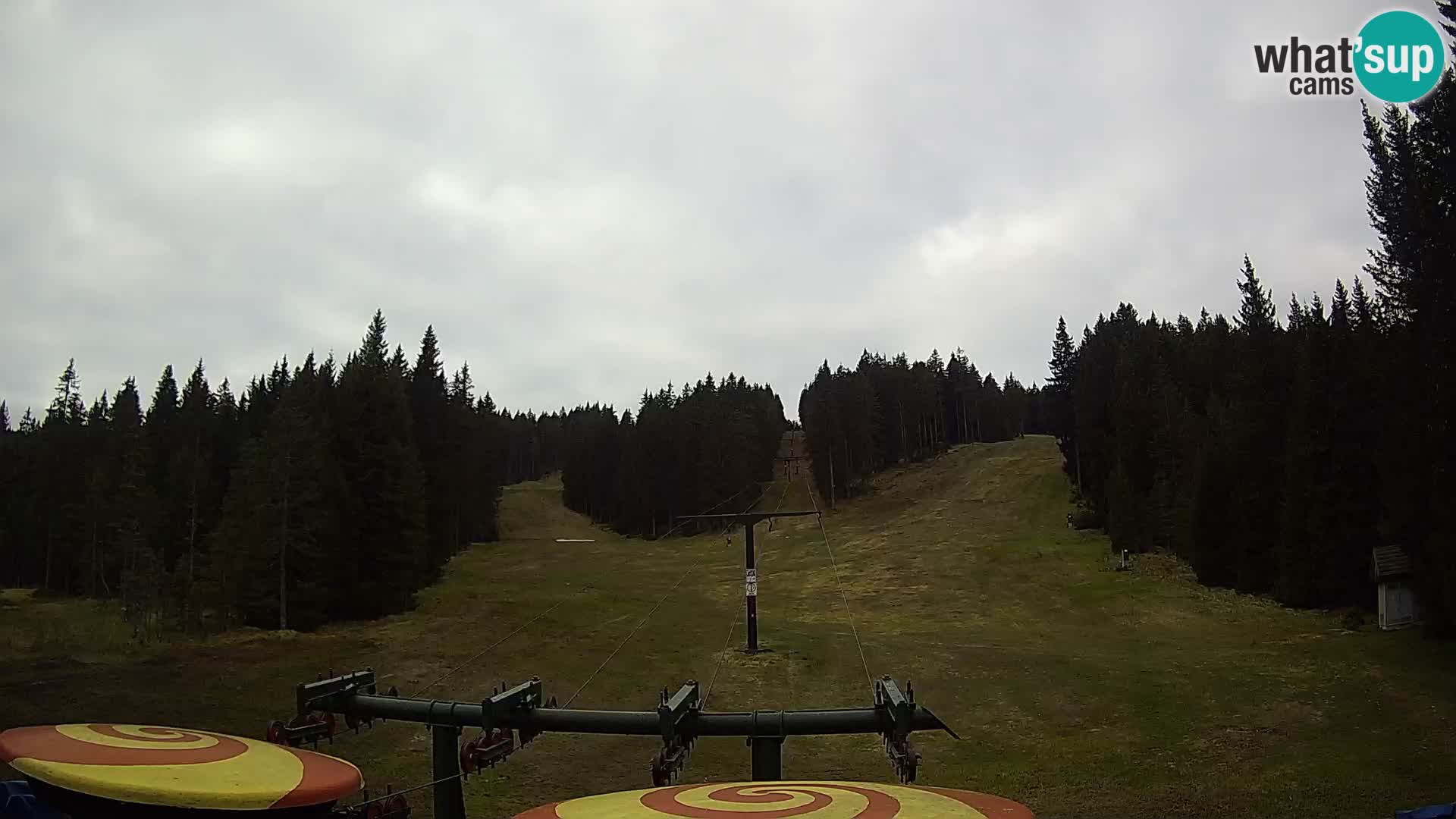 Webcam Live Rogla ski resort – Ostruščica