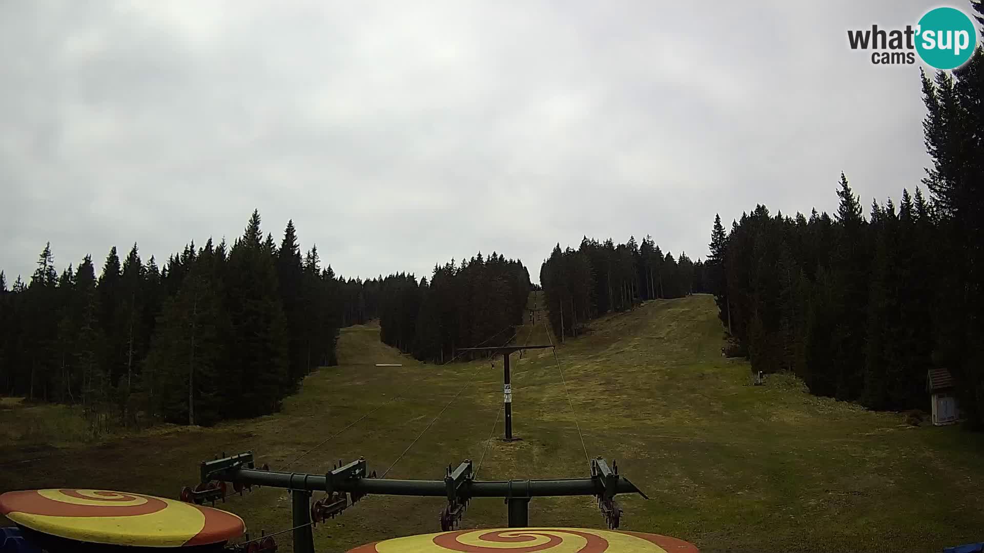 Comprensorio sciistico Rogla Webcam live Ostruščica piste 1 e 2