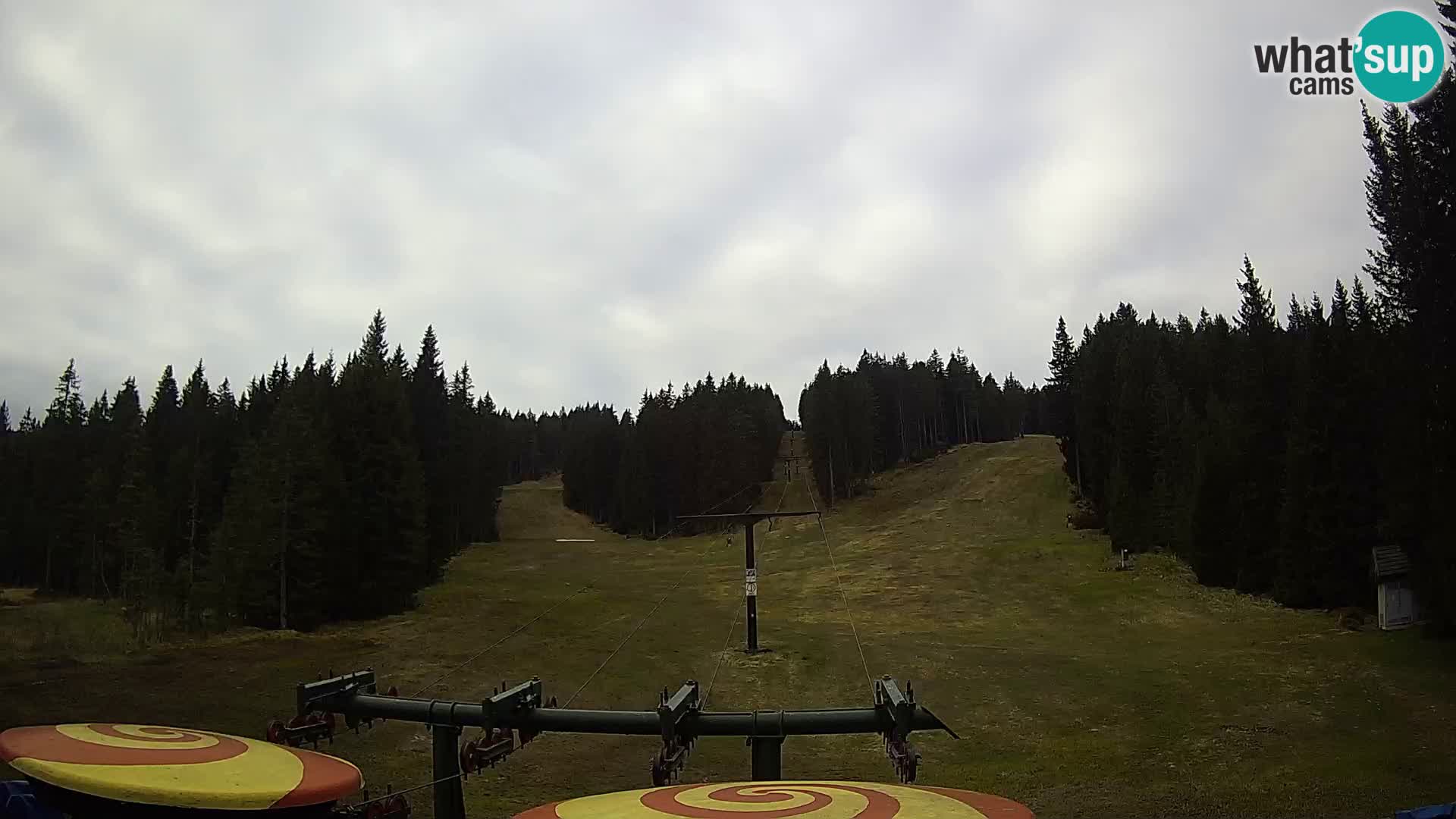 Comprensorio sciistico Rogla Webcam live Ostruščica piste 1 e 2