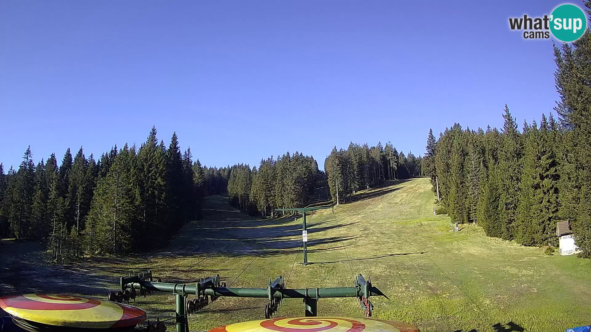 Comprensorio sciistico Rogla Webcam live Ostruščica piste 1 e 2