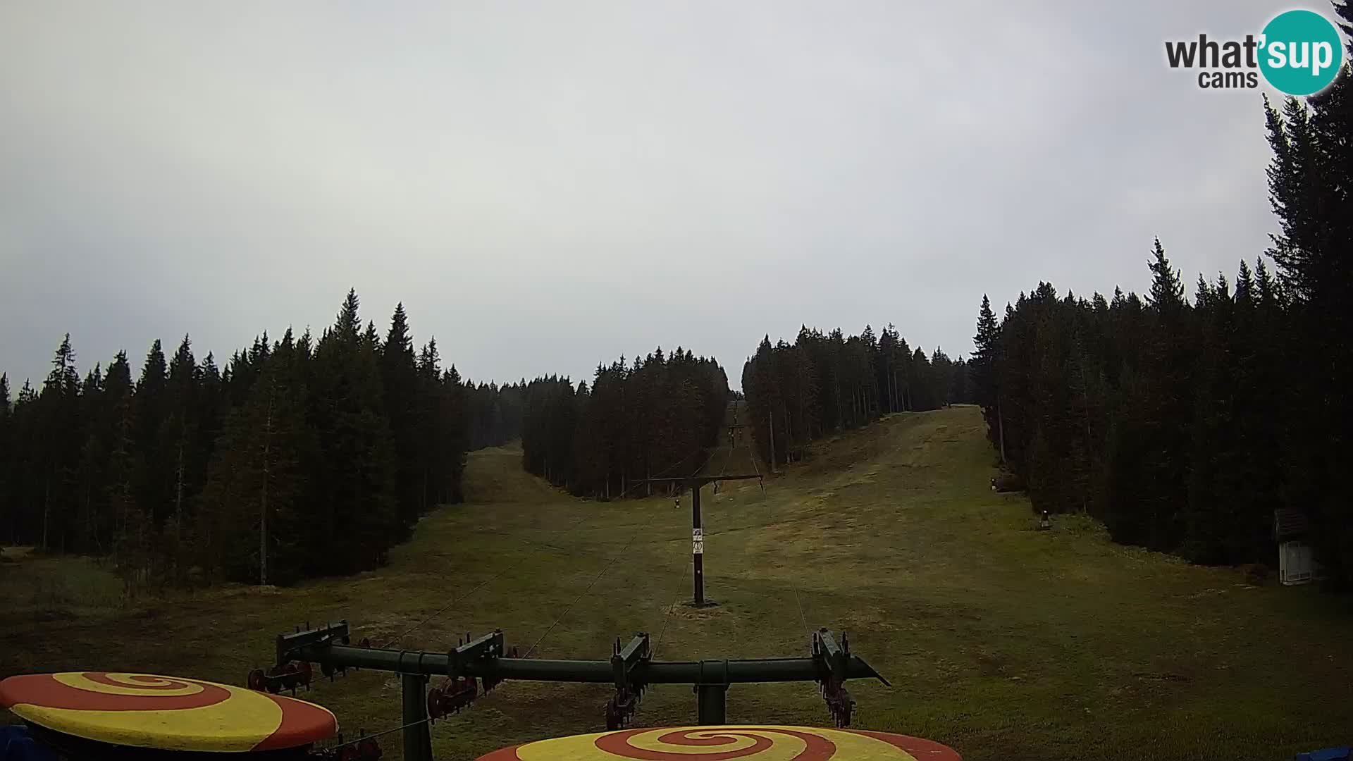 Comprensorio sciistico Rogla Webcam live Ostruščica piste 1 e 2