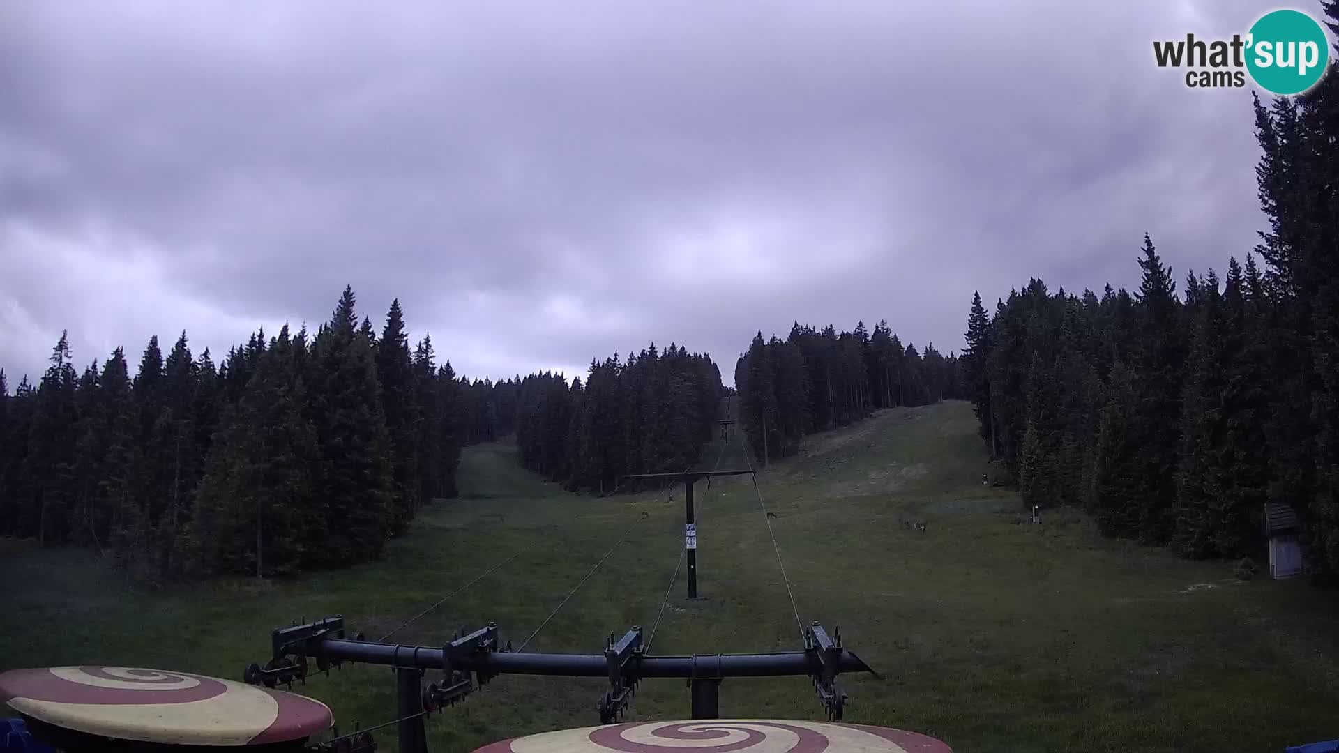 Webcam Live Rogla ski resort – Ostruščica