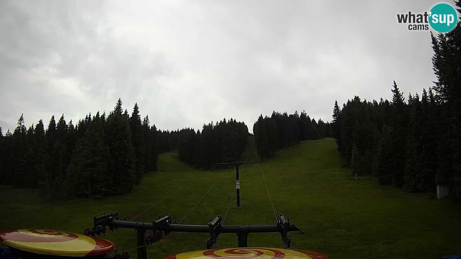 Comprensorio sciistico Rogla Webcam live Ostruščica piste 1 e 2