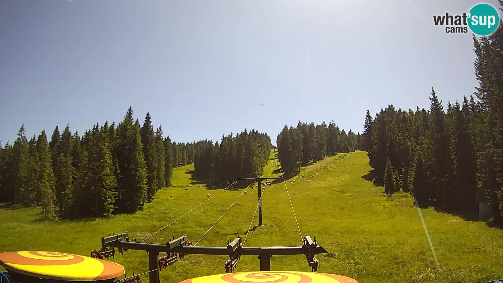 Estación de esquí Rogla Webcam Ostruščica pistas 1 y 2