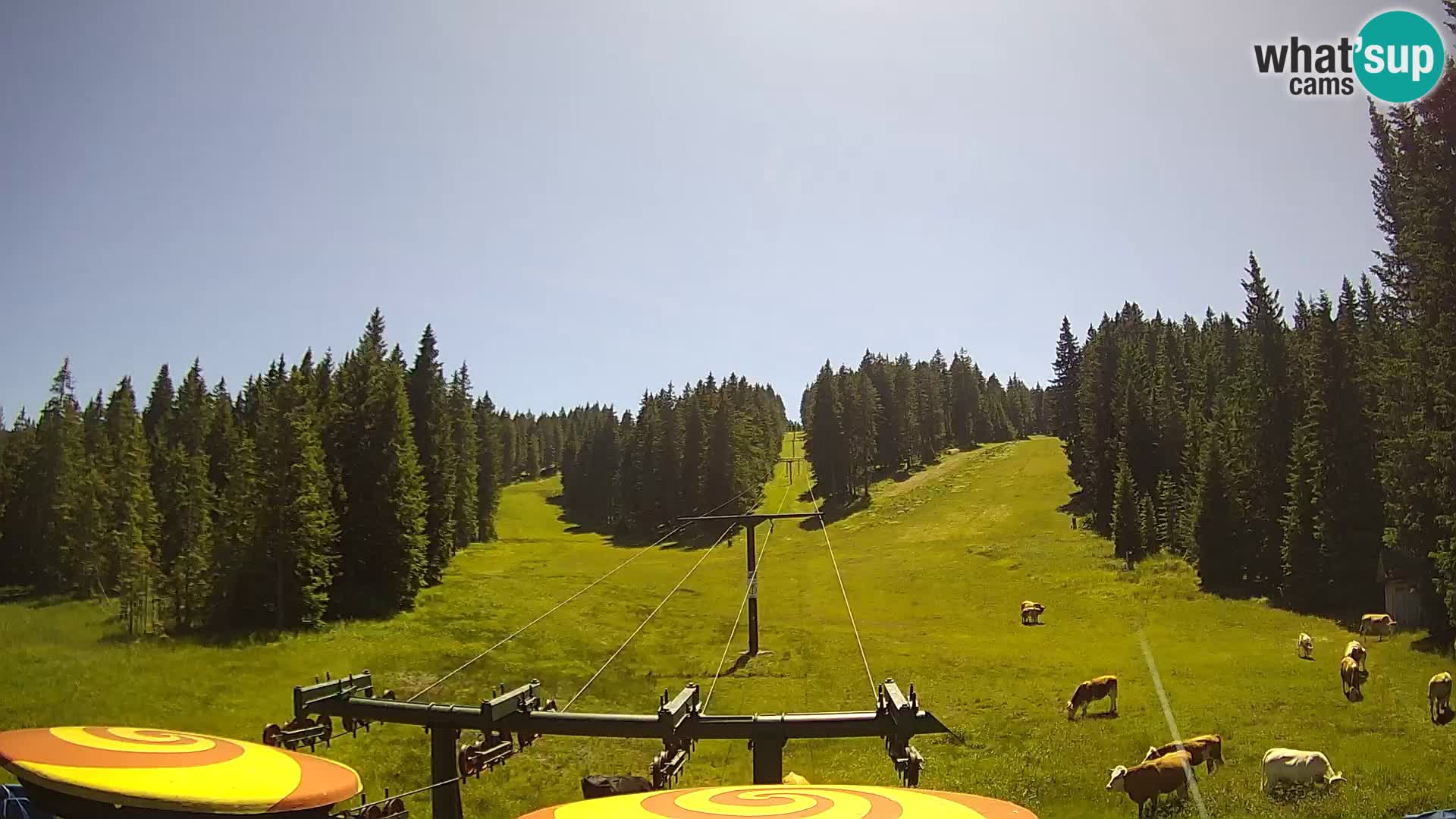 Station de ski Rogla Webcam Ostruščica pistes 1 et 2