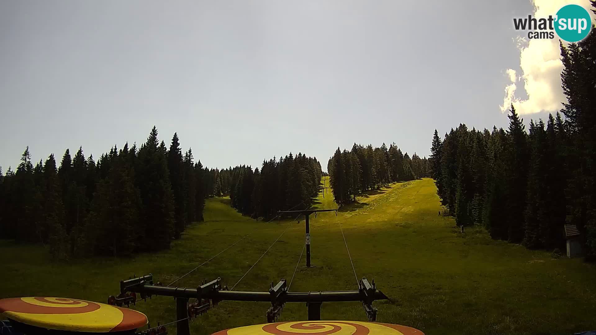 Station de ski Rogla Webcam Ostruščica pistes 1 et 2
