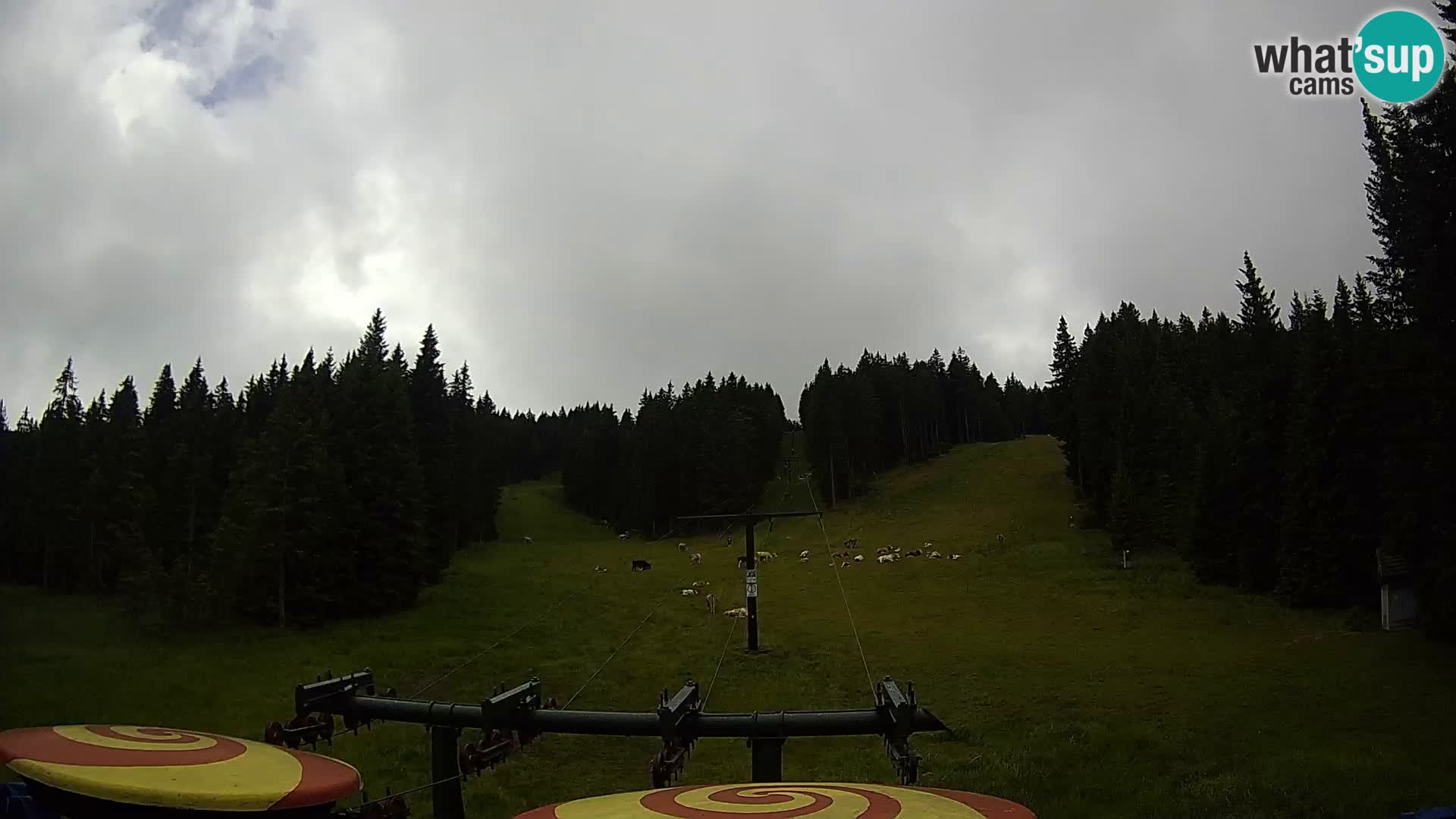 Skigebiet Rogla Webcam Ostruščica Piste 1 und 2