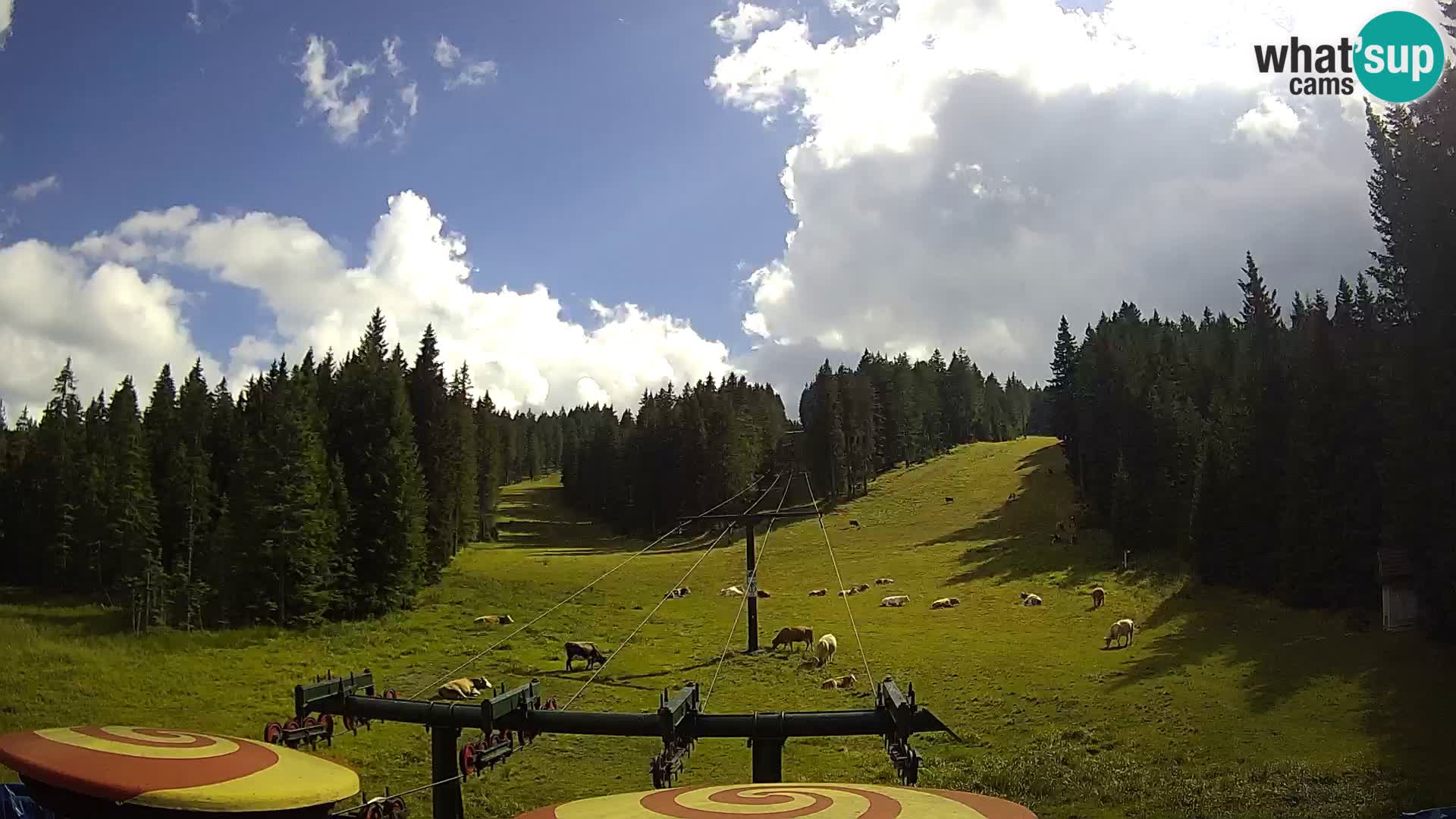 Skigebiet Rogla Webcam Ostruščica Piste 1 und 2