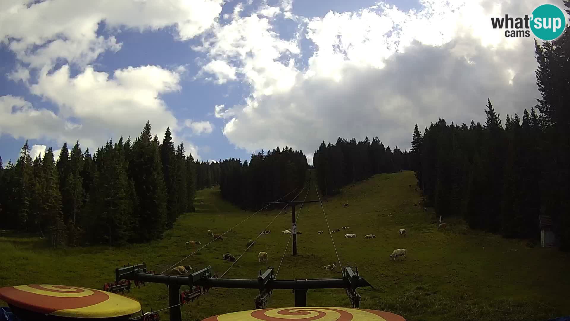 Station de ski Rogla Webcam Ostruščica pistes 1 et 2