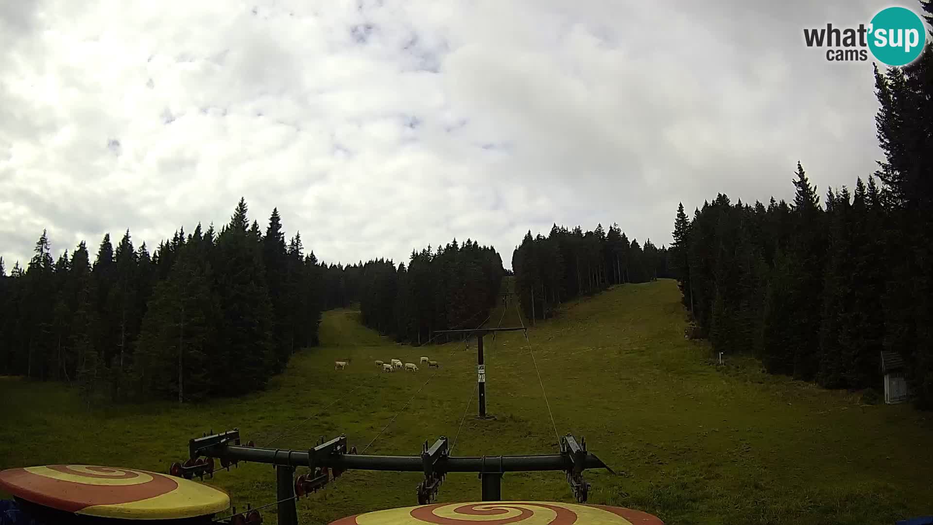 Skijalište Rogla web kamera Ostruščica proga 1 in 2