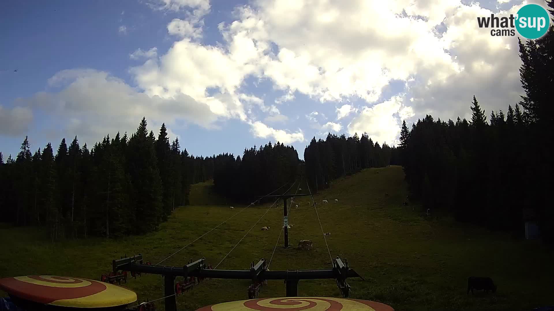 Webcam Live Rogla ski resort – Ostruščica