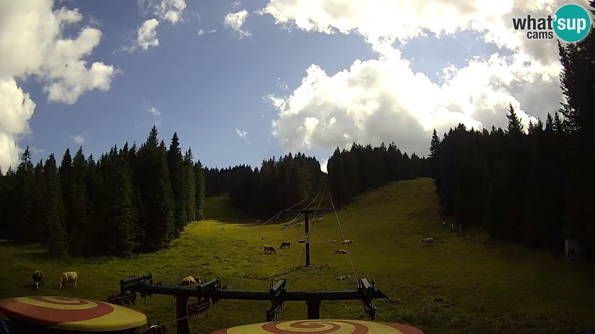Estación de esquí Rogla Webcam Ostruščica pistas 1 y 2
