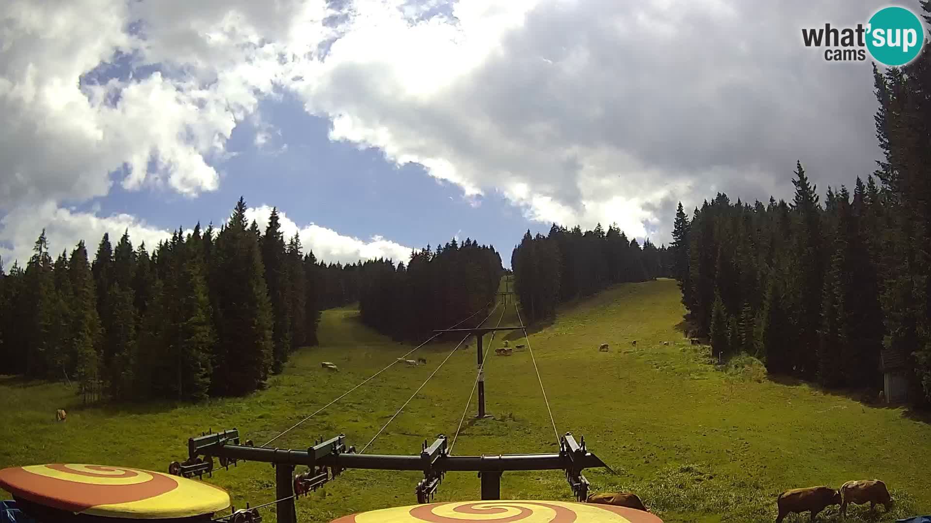 Skigebiet Rogla Webcam Ostruščica Piste 1 und 2