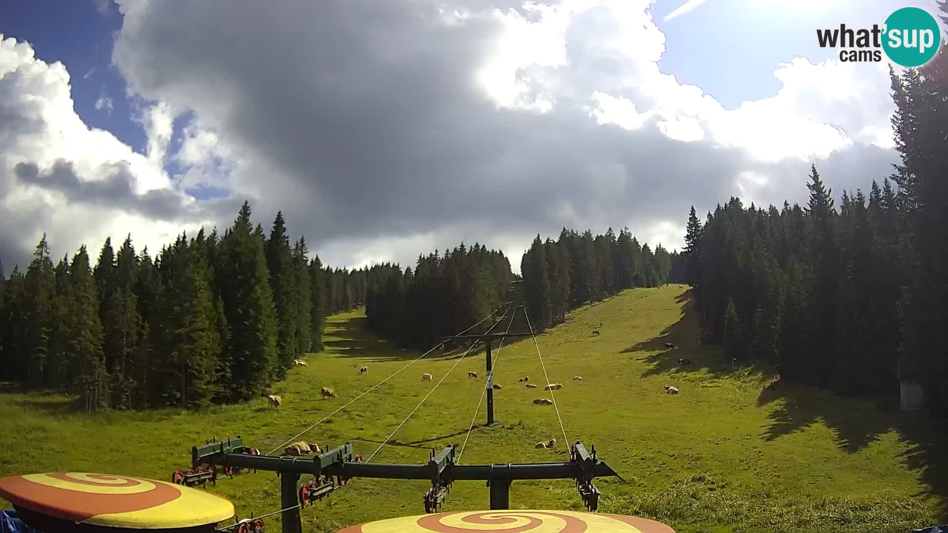 Skigebiet Rogla Webcam Ostruščica Piste 1 und 2