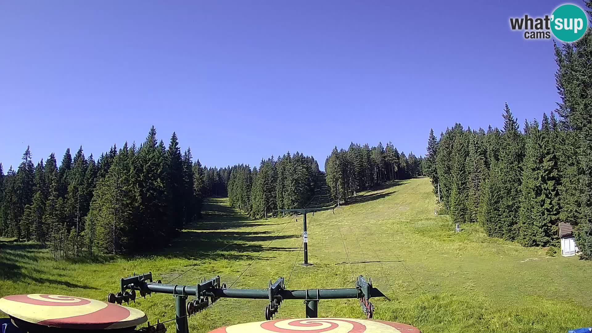 Comprensorio sciistico Rogla Webcam live Ostruščica piste 1 e 2