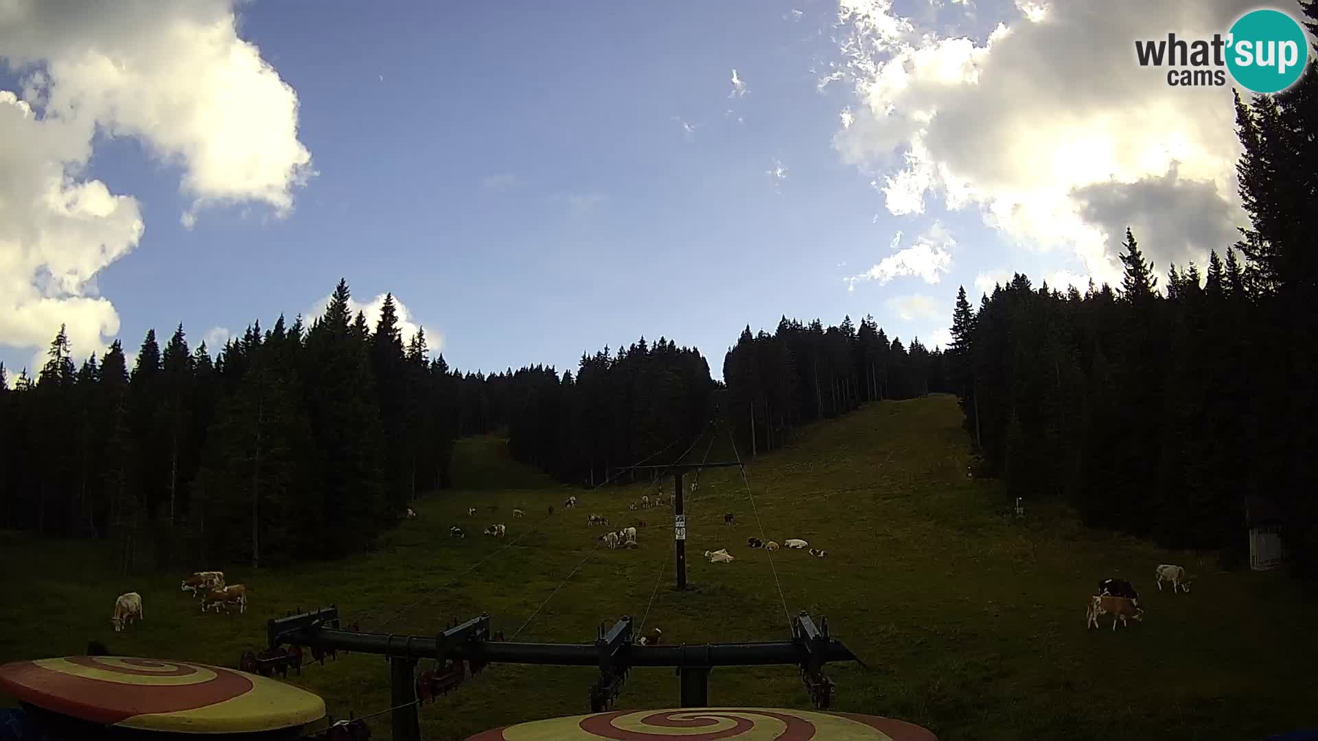Comprensorio sciistico Rogla Webcam live Ostruščica piste 1 e 2