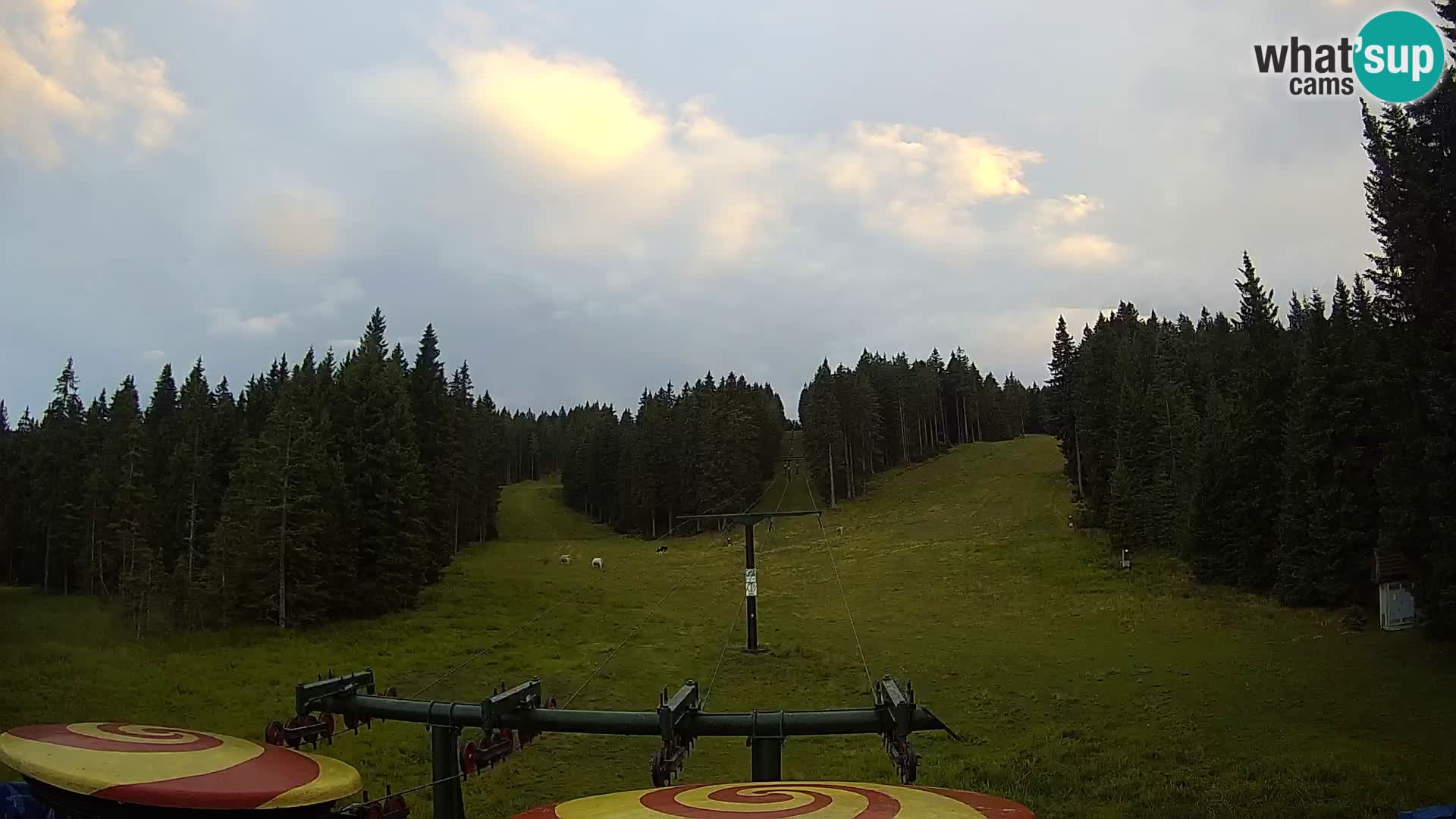 Webcam Live Rogla ski resort – Ostruščica