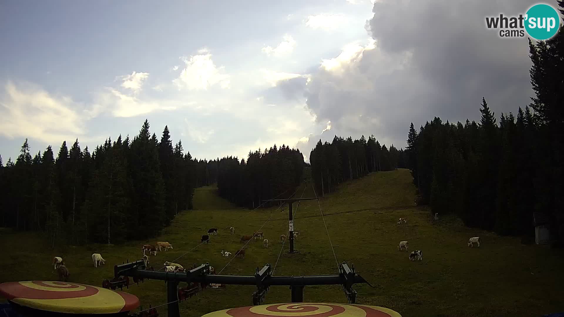 Estación de esquí Rogla Webcam Ostruščica pistas 1 y 2