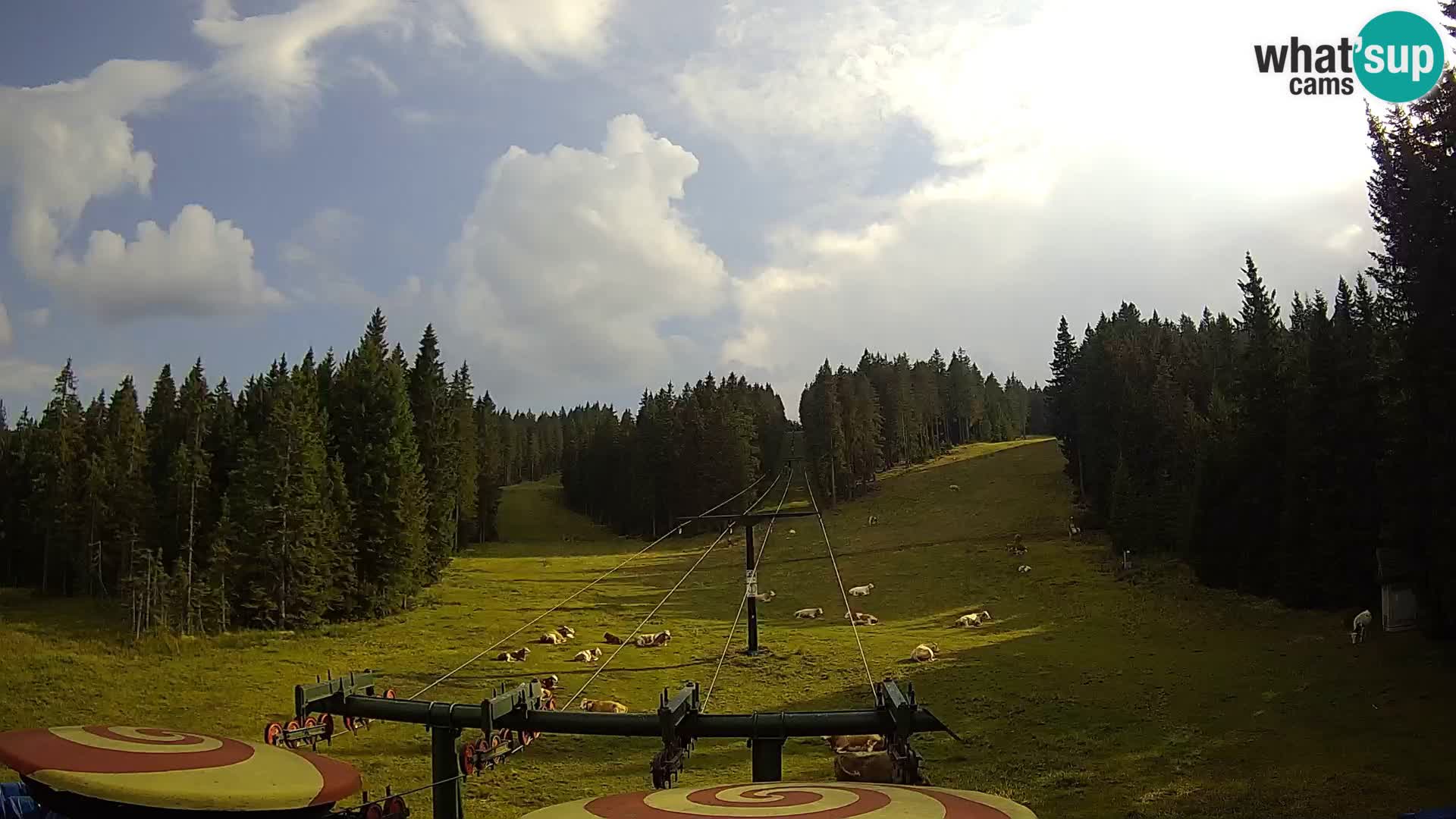 Station de ski Rogla Webcam Ostruščica pistes 1 et 2
